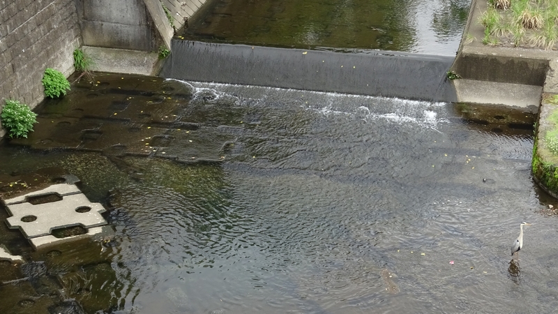 帷子川（鶴ヶ峰白根地区）改修工事（その２） 横浜市旭区今川町