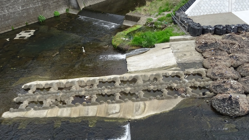 帷子川（鶴ヶ峰白根地区）改修工事（その２） 横浜市旭区今川町