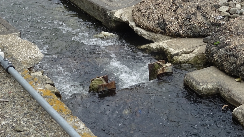 帷子川（鶴ヶ峰白根地区）改修工事（その２） 横浜市旭区今川町