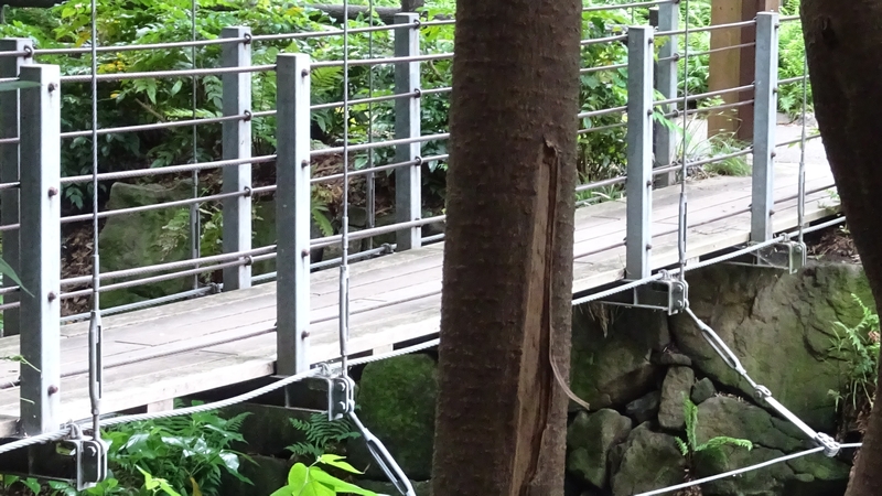 吊橋 横浜市旭区帷子川親水緑道