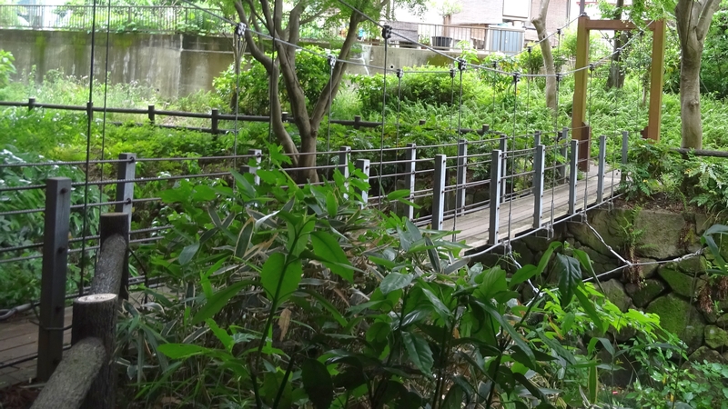 吊橋 横浜市旭区帷子川親水緑道