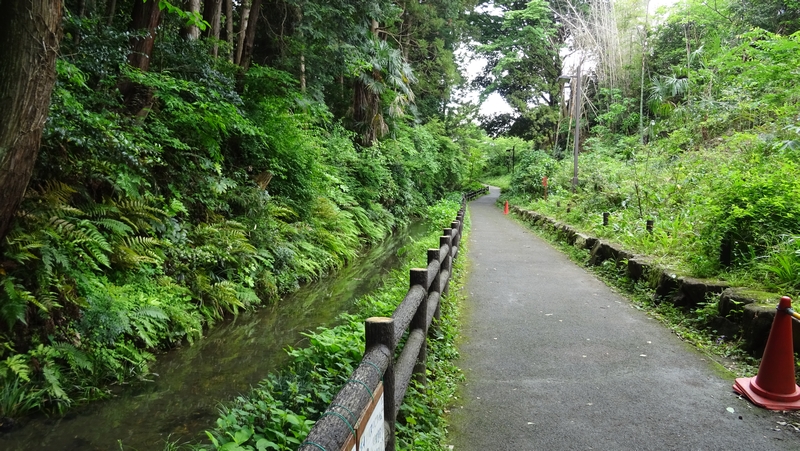 帷子川親水緑道 横浜市旭区帷子川親水緑道