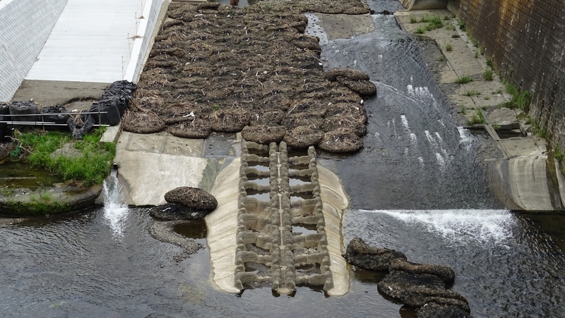 帷子川（鶴ヶ峰白根地区）改修工事（その２） 横浜市旭区今川町