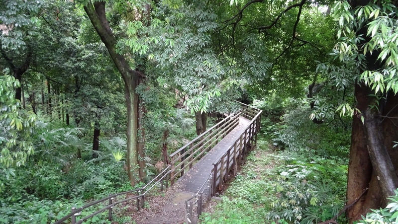 南本宿公園 横浜市旭区南本宿町南本宿公園