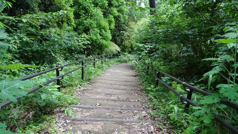 南本宿公園 横浜市旭区南本宿町南本宿公園