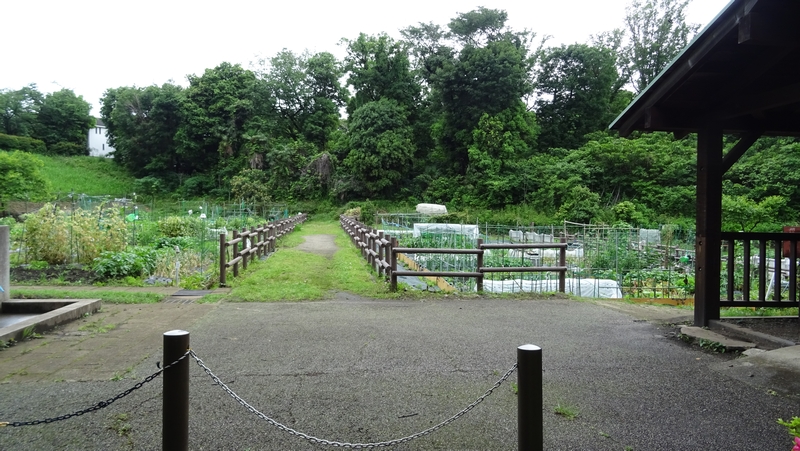 分区画  横浜市旭区南本宿町南本宿公園