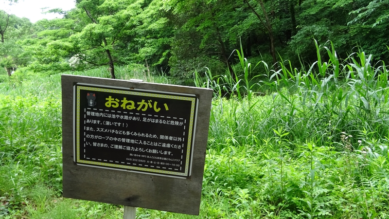 チョウのための食草ガーデン 横浜市旭区大池町こども自然公園