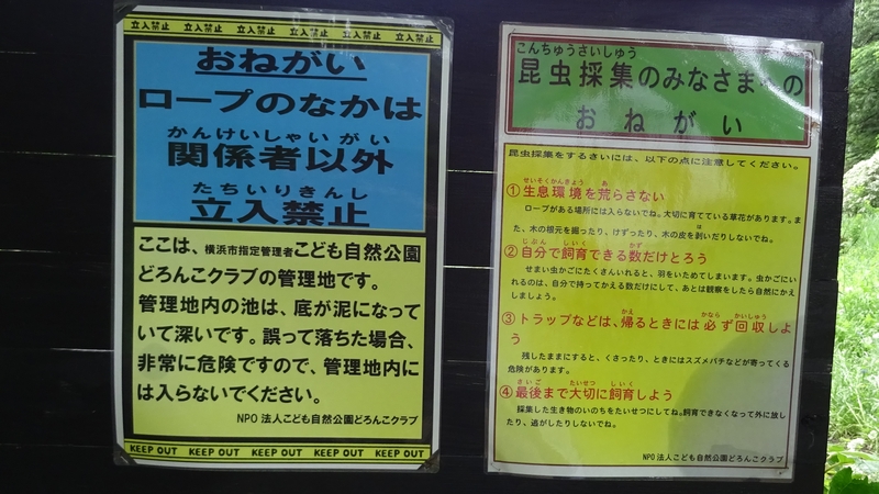 チョウのための食草ガーデン 横浜市旭区大池町こども自然公園