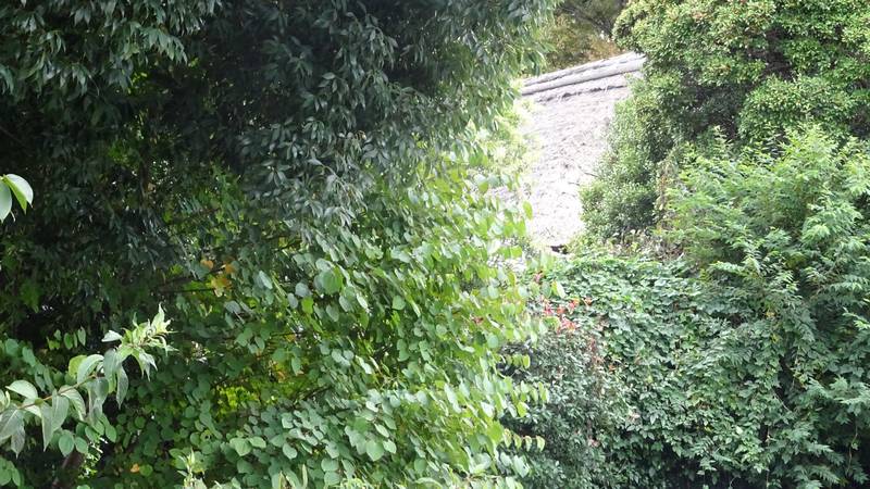 茅葺きの屋根 横浜市旭区今宿南町