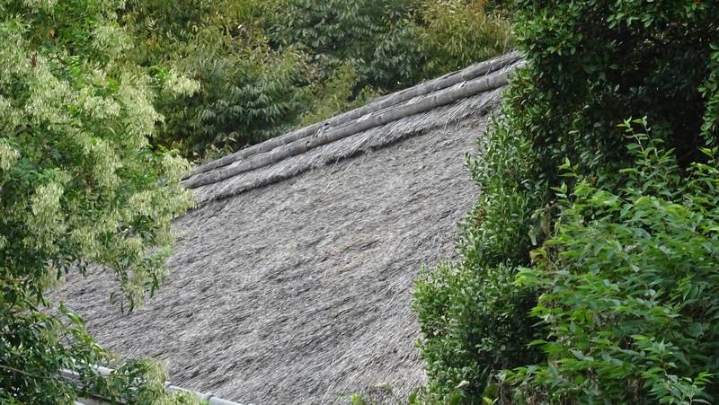茅葺きの屋根 横浜市旭区今宿南町