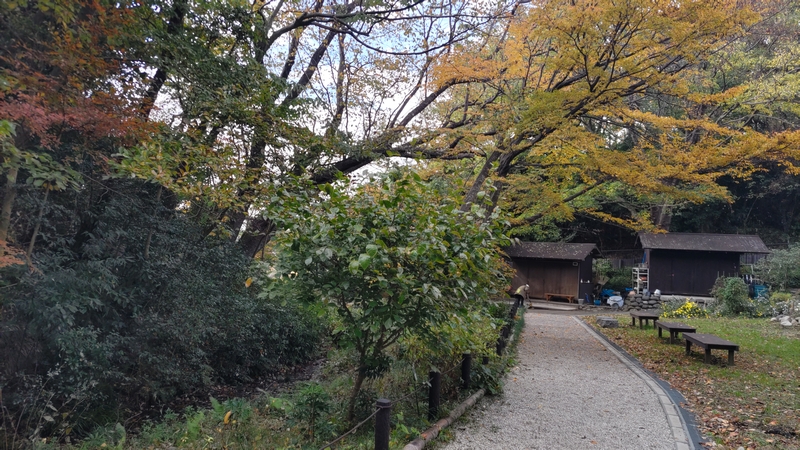 天王森泉公園 横浜市泉区天王森泉公園