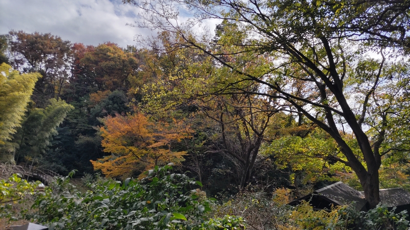 天王森泉公園 横浜市泉区天王森泉公園