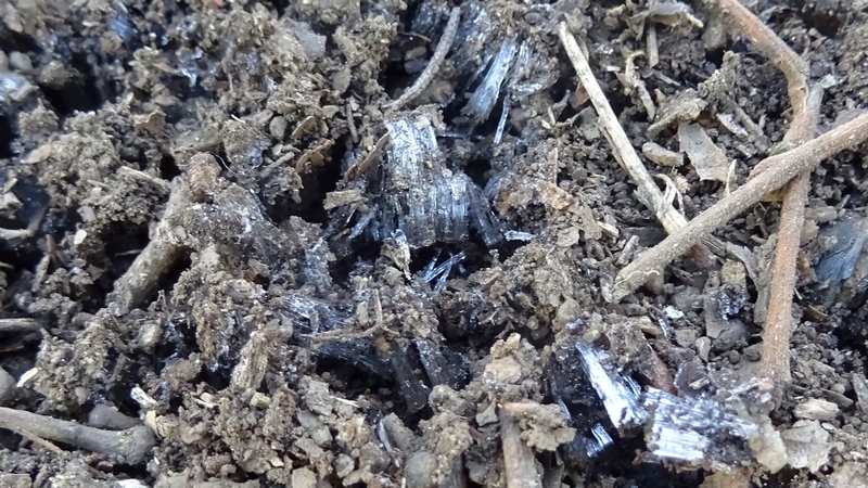 霜柱 川崎市幸区さいわいふるさと公園