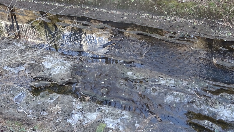 帷子川上流の氷結 横浜市旭区今宿南町