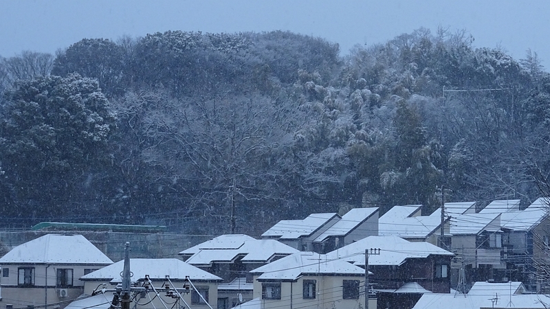 清来寺の裏山 横浜市旭区今宿南町
