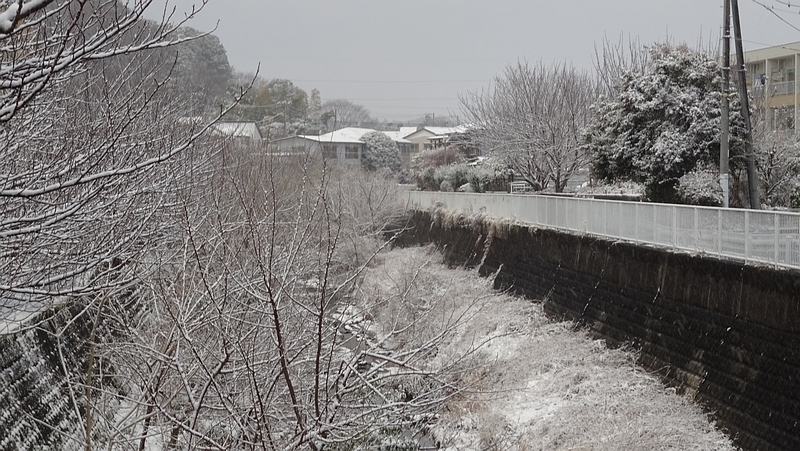 雪景色 横浜市旭区今宿南町
