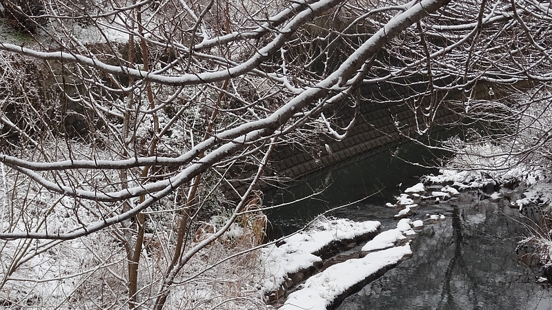 雪景色 横浜市旭区今宿南町