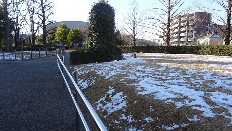 雪景色 川崎市幸区創造のもり