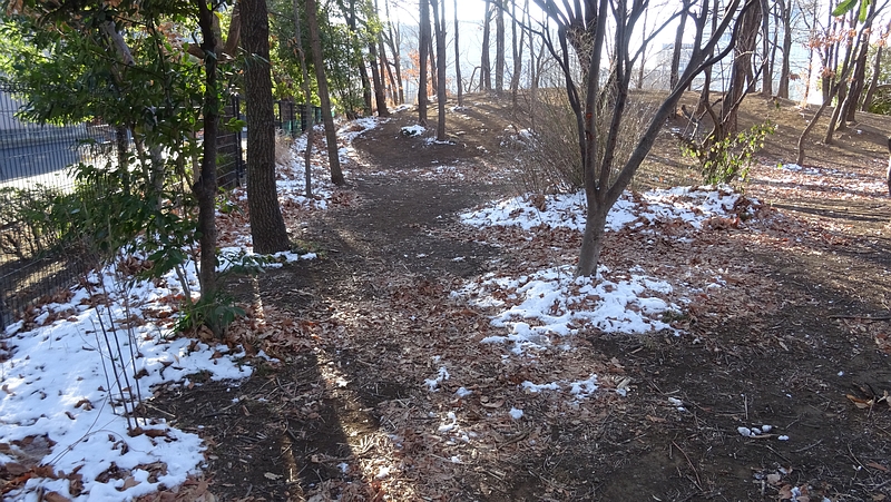 雪景色 川崎市幸区さいわいふるさと公園