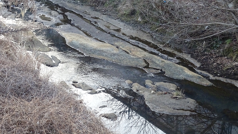 帷子川 横浜市旭区今宿南町