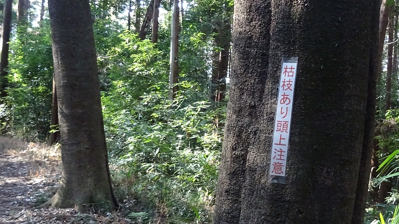 枯枝あり頭上注意の掲示 横浜市旭区矢指町矢指市民の森