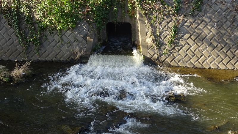 帷子川 横浜市旭区鶴ヶ峰