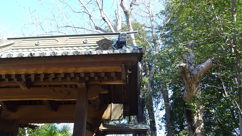 ホオノキ 横浜市旭区今宿南町清来寺