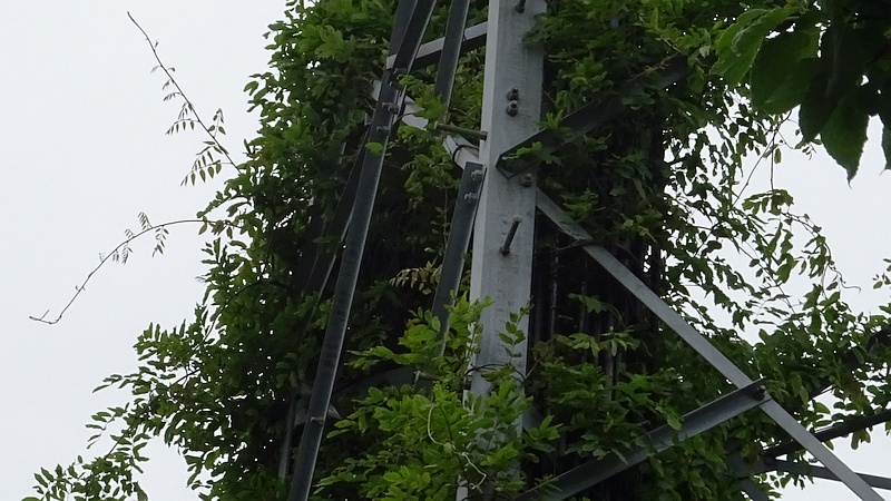 KDDI無線基地局のヤマフジ