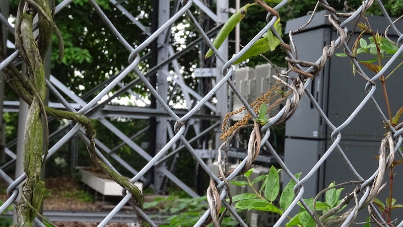 KDDI無線基地局のヤマフジ
