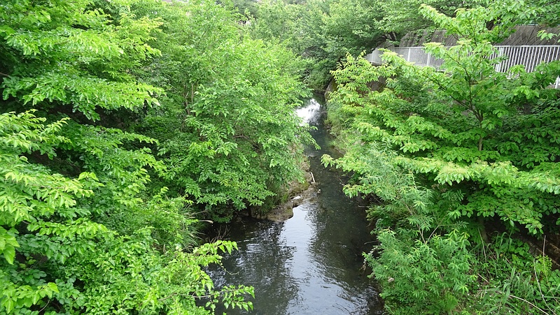 帷子川