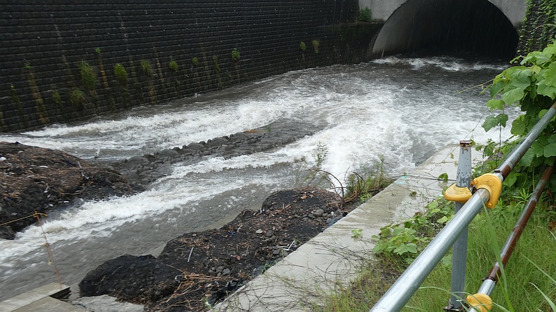 帷子川（鶴ヶ峰白根地区）改修工事（その３）