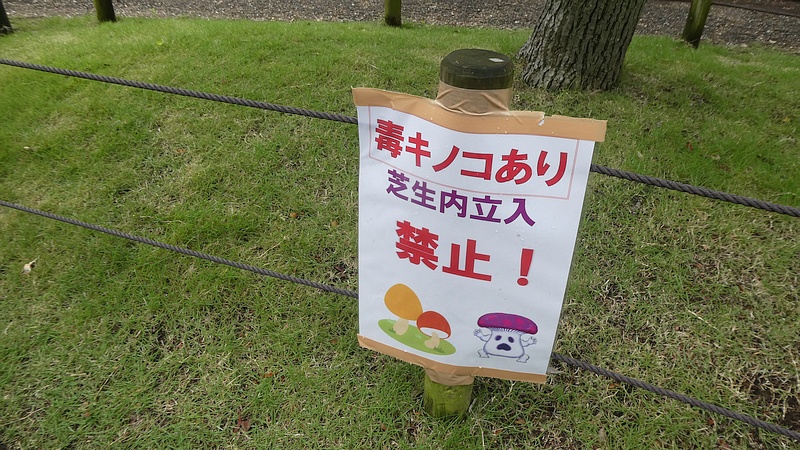 「毒キノコあり」掲示