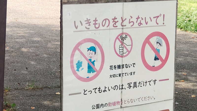 南口広場の掲示