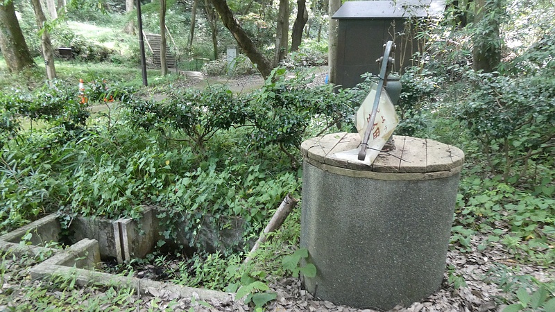 井戸