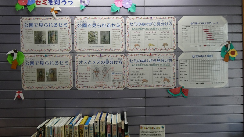ビジターセンターの資料