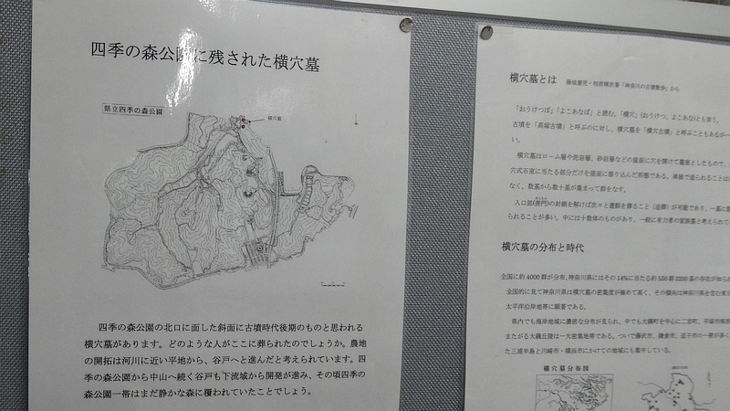 ビジターセンターの横穴墓の資料