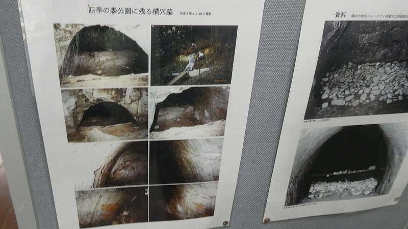 ビジターセンターの横穴墓の資料