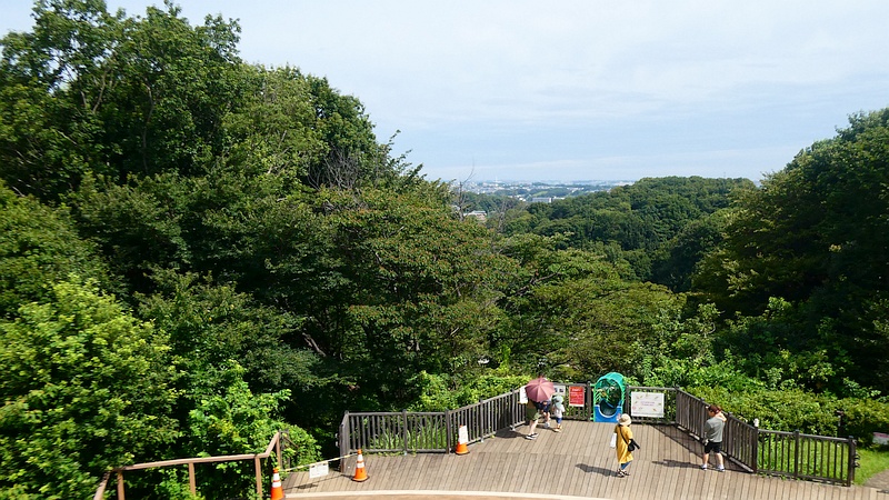 展望広場