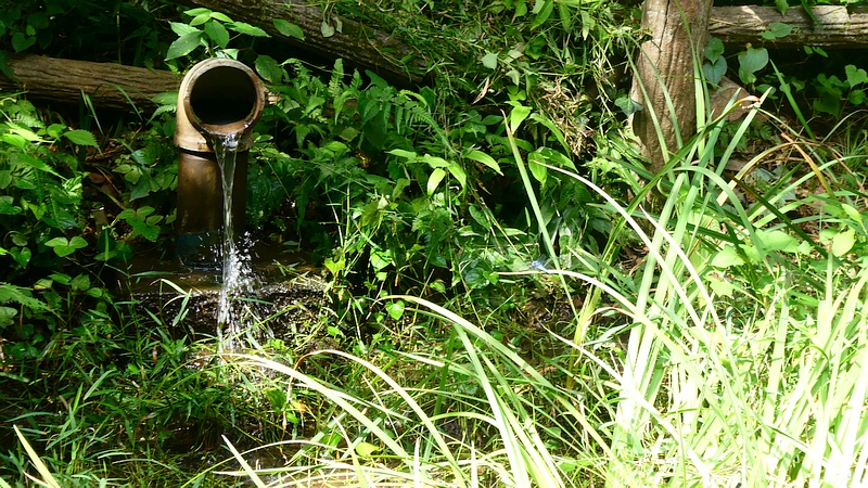 しょうぶ園