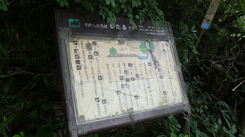 ゲンジボタルなどの掲示