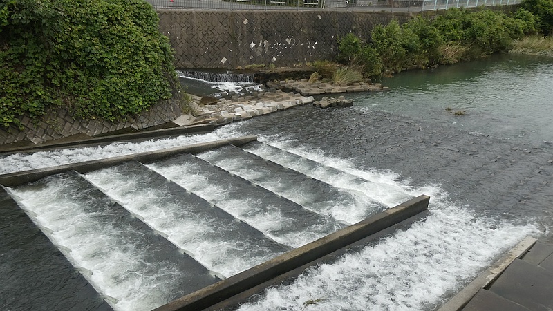 帷子川に流れ込む中堀川
