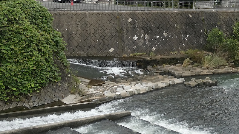 帷子川に流れ込む中堀川