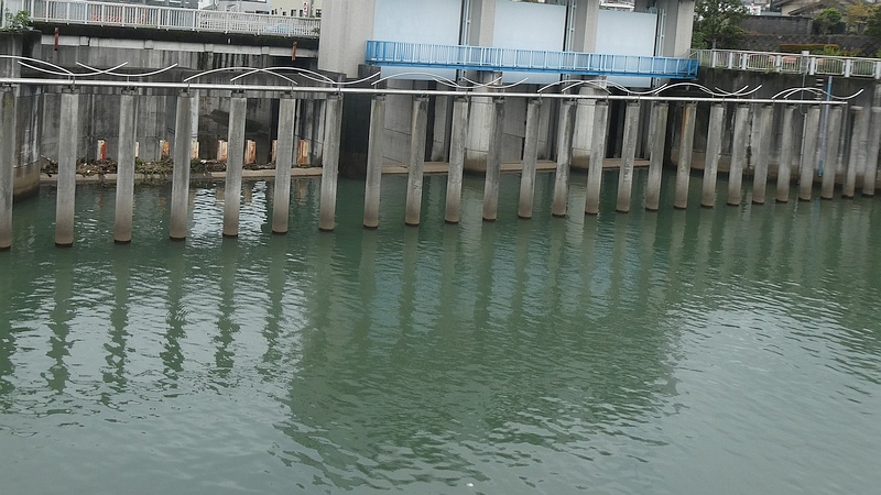 帷子川分水路分流堰