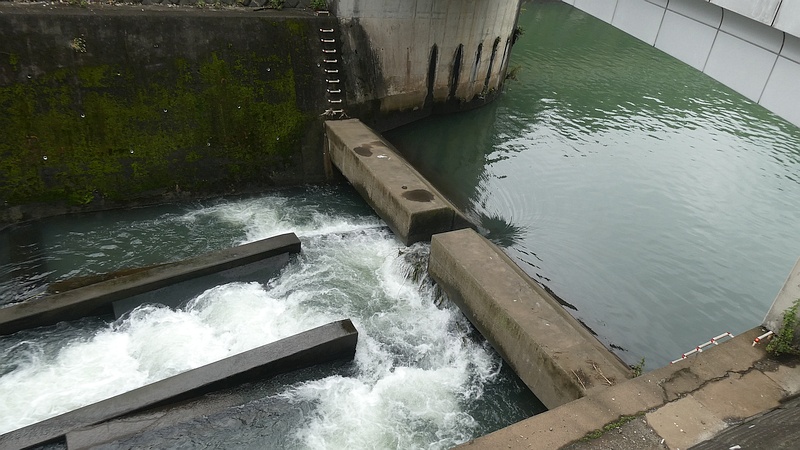 帷子川分水路分流堰