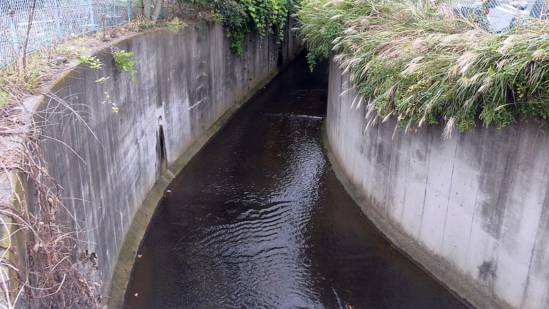 帷子川に流れ込む新井川