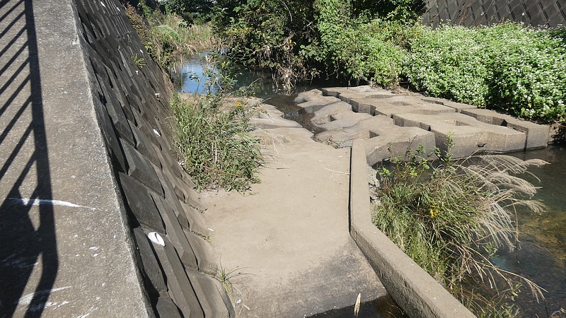 帷子川