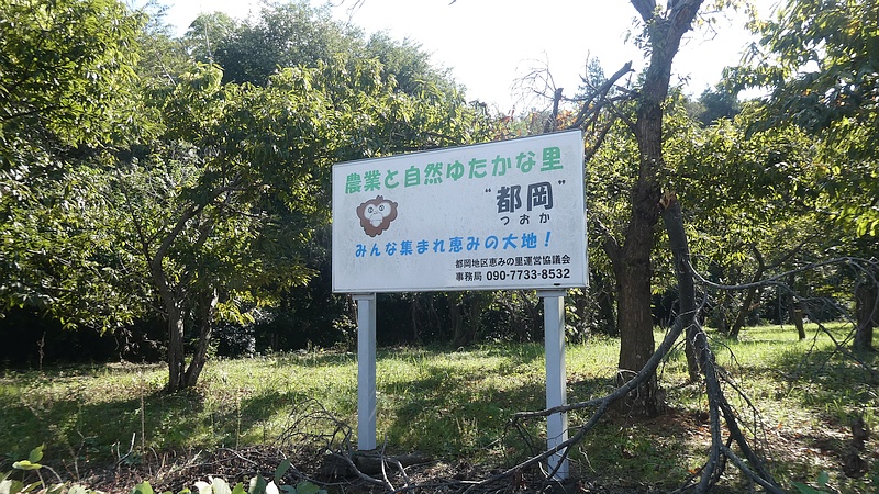 クリ畑